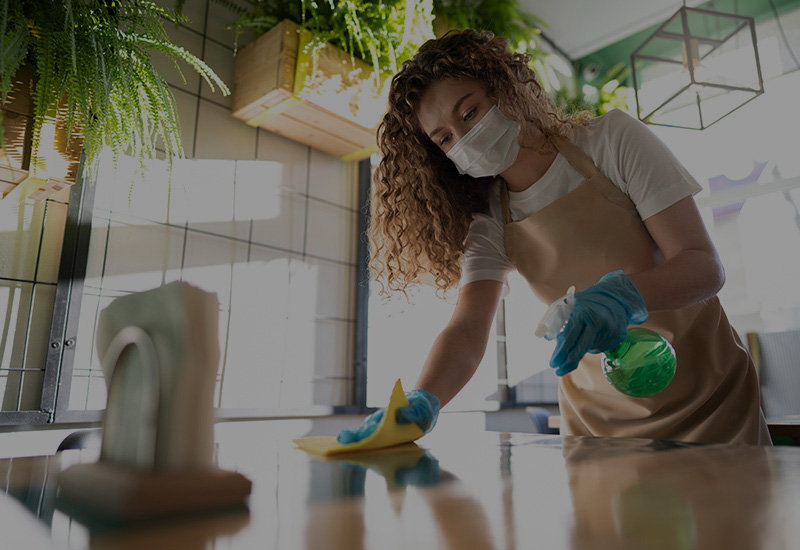 Regular Cleaners Professional Cleaning Services